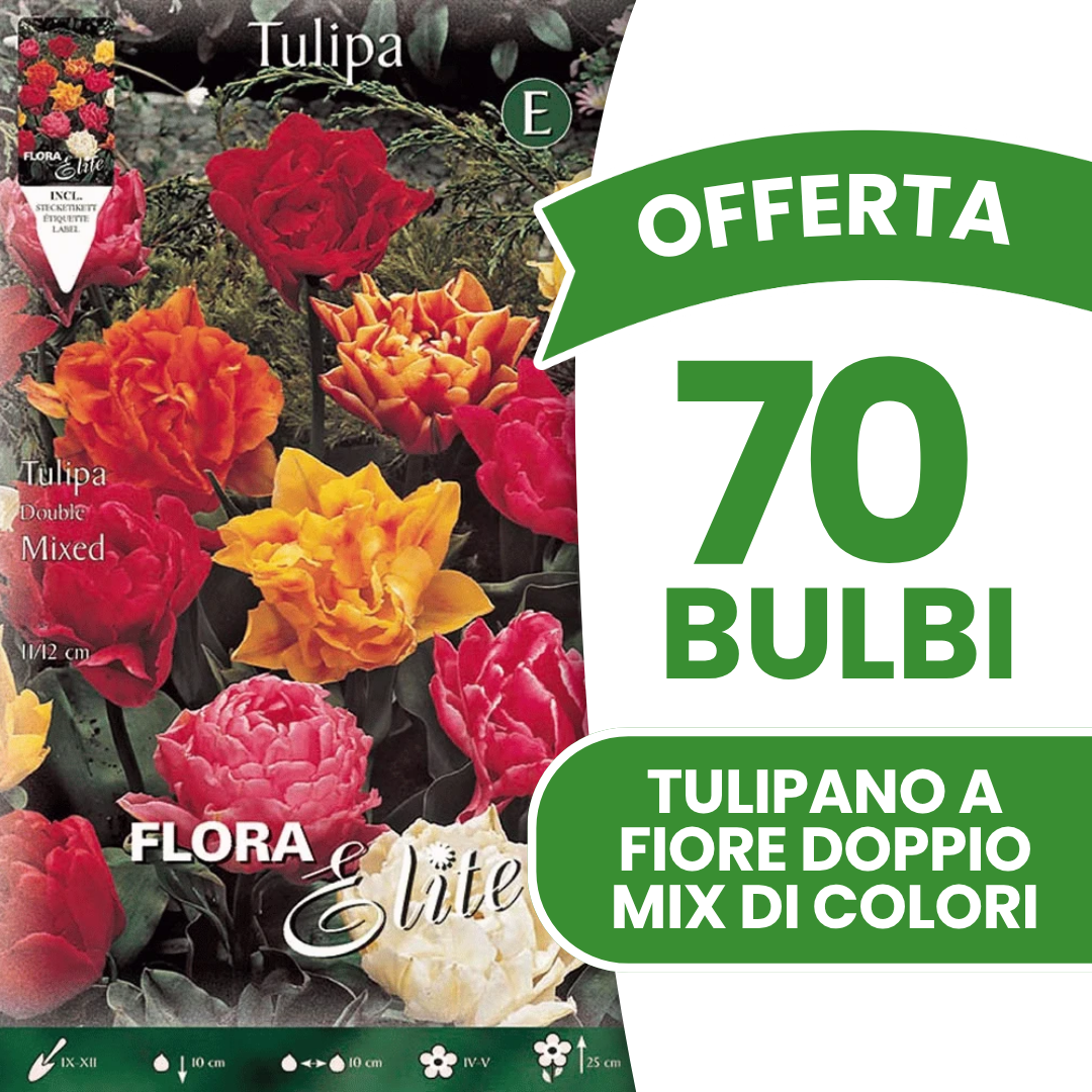 TULIPES À FLEURS DOUBLES, COULEURS ASSORTIES (PAQUET DE 7 BULBES)