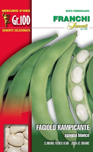BUSTA SEMI DI FAGIOLO DI SPAGNA A GRANO BIANCO 100 GR