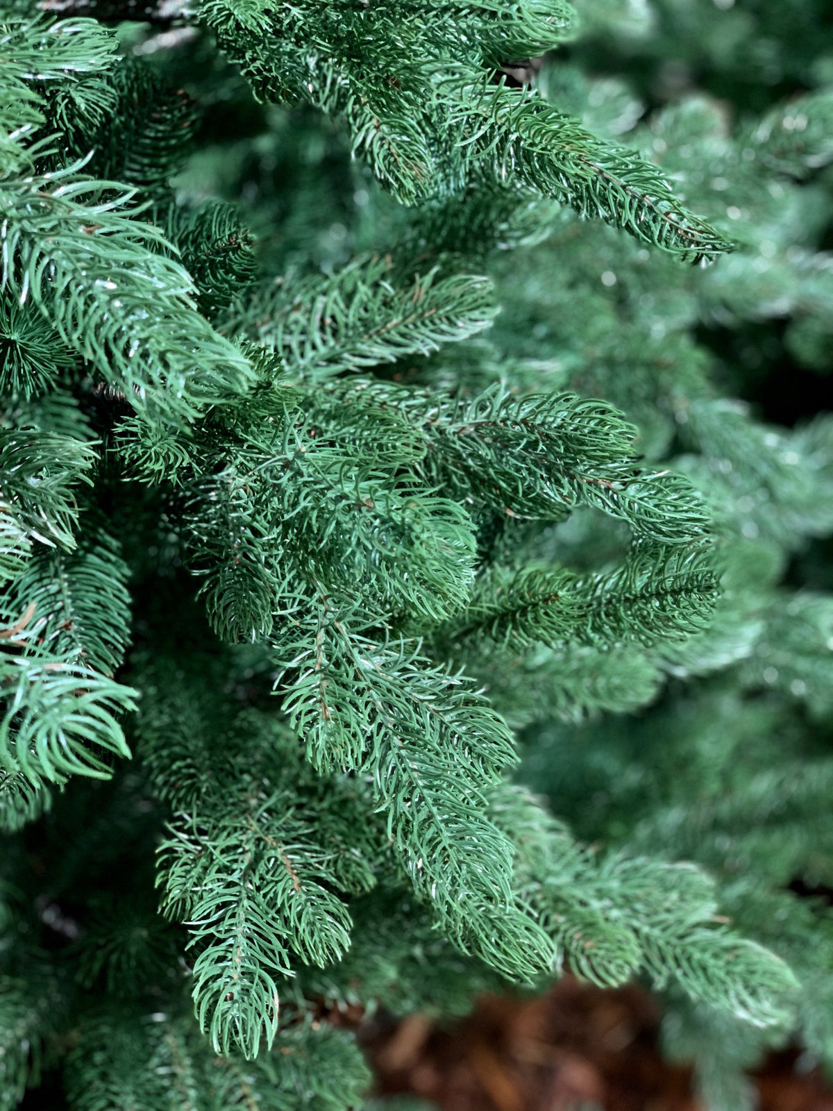 ALBERO DI NATALE 180CM SACCARELLO VERDE