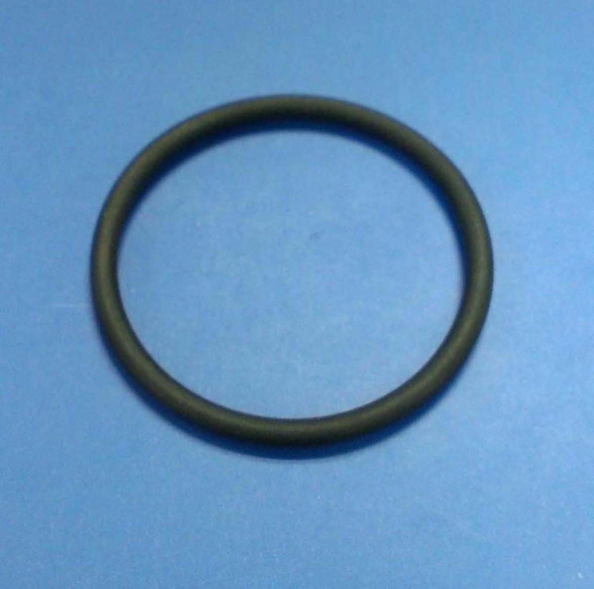 INTEX RICAMBIO GUARNIZIONE PER ELETTRODI TITANIO 28672 (54616) E 28662 (54606)/28668/28670/28662/28664/28674/28680/28676