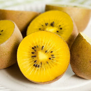 KIWI GIALLO PIANTA FEMMINA IN VASO 20CM