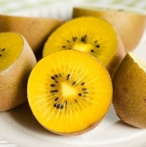 KIWI GIALLO PIANTA FEMMINA IN VASO 20CM
