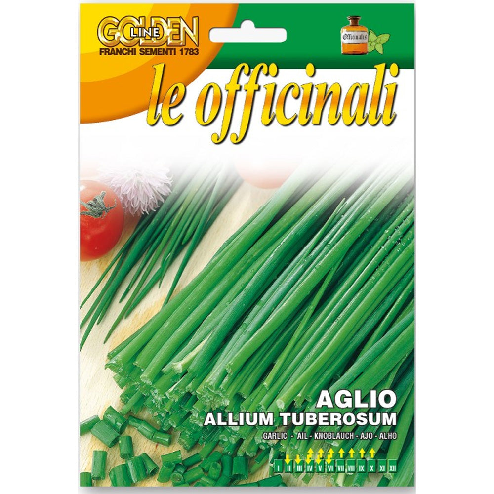 AGLIO ALLIUM TUBEROSUM