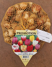 OFFERTA 75 TULIPANI MIX COLORI