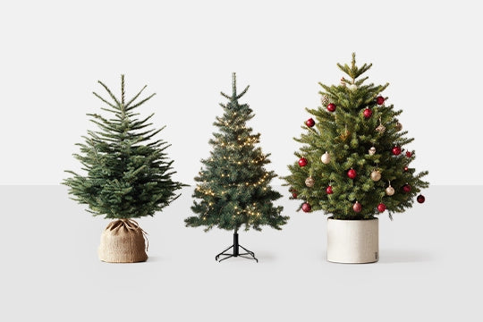 sapins de Noël