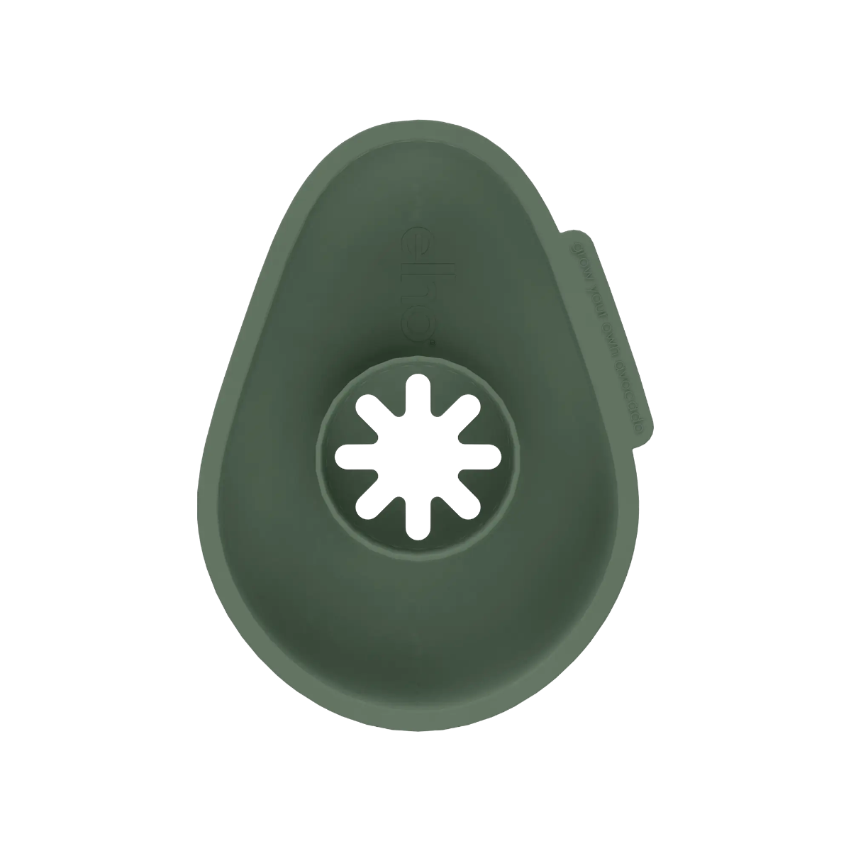 VASO PER SEME DI AVOCADO AMAZING AVOCADO FLOATER LEAF GREEN