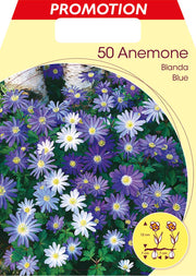 ANEMONE BLANDA BLU (CONFEZIONE 50 BULBI)