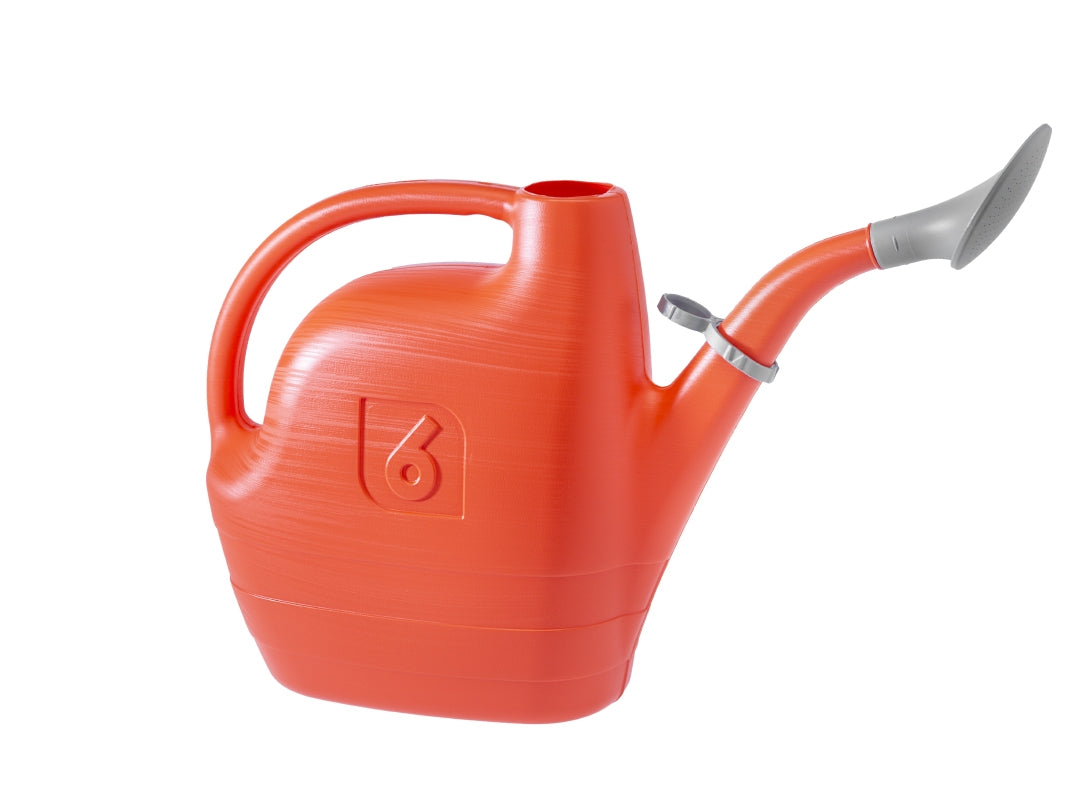 ANNAFFIATOIO ALBATROSS 6LT LAVA CON ROSETTA