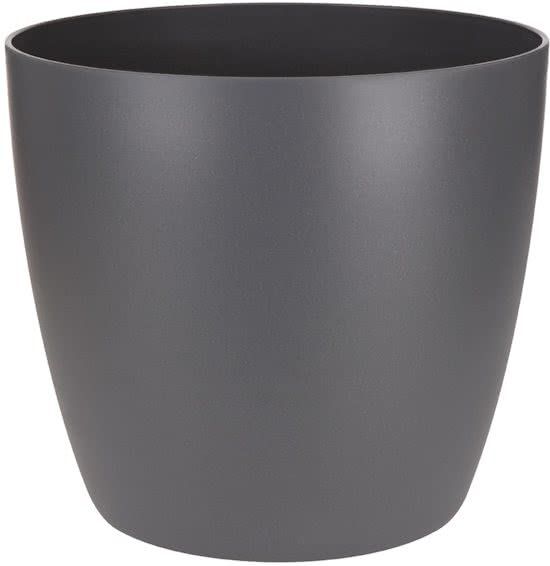 MIX 4 PIANTE PURIFICATRICI DELL'ARIA VASO 12CM + 4 COPRIVASO ANTRACITE