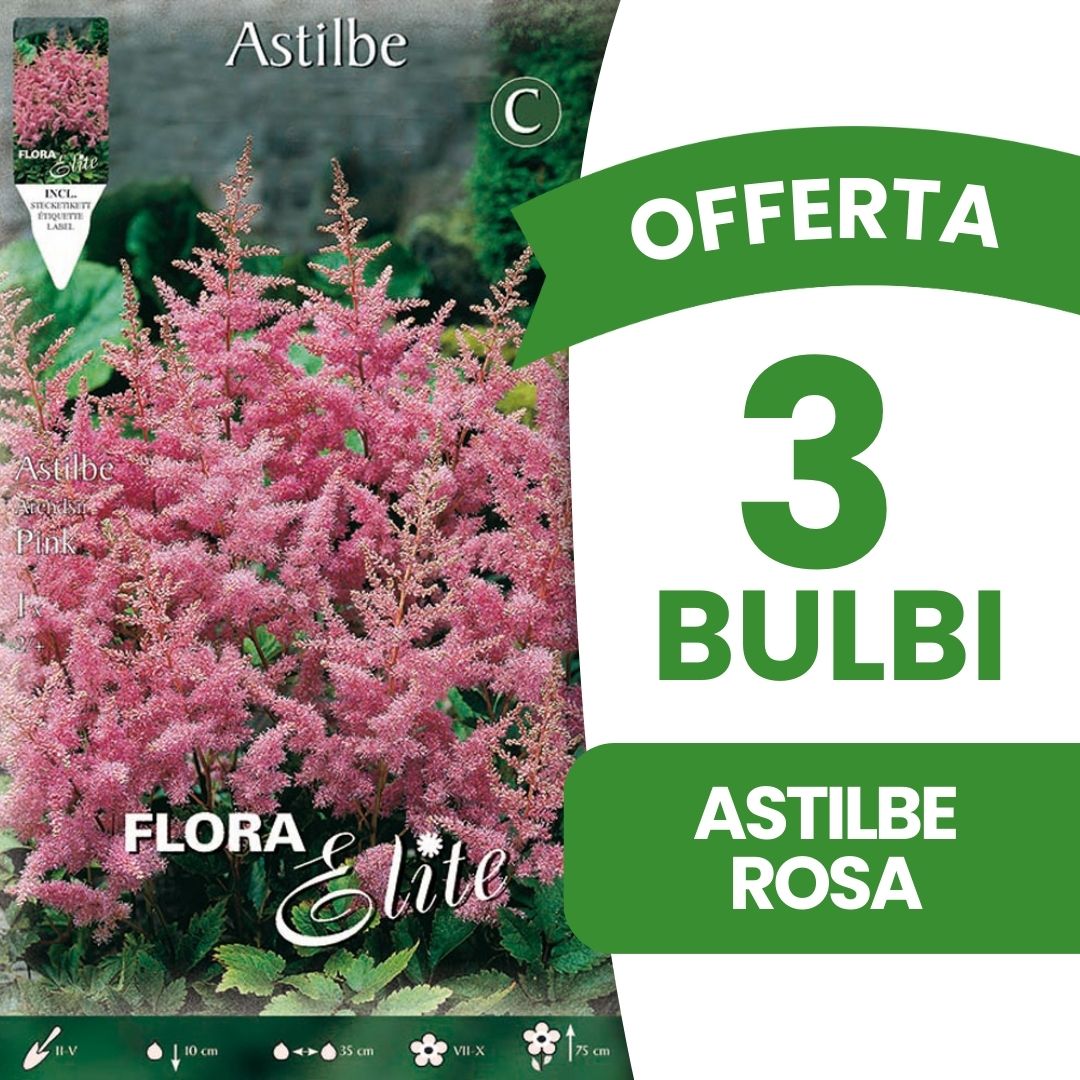 OFFERTA 3 BULBI ASTILBE ROSA