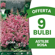 OFFERTA 9 BULBI ASTILBE ROSA