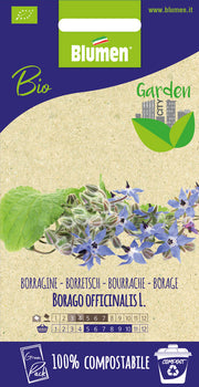 SEMI DI BORRAGINE BOP GREENPACK