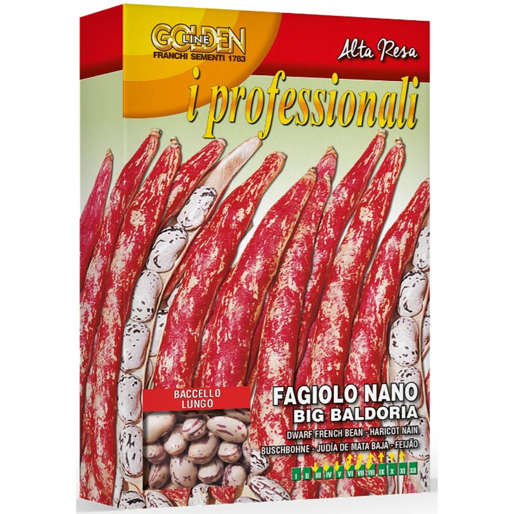 SEMI DI FAGIOLO NANO BIG BALDORIA 200GR.