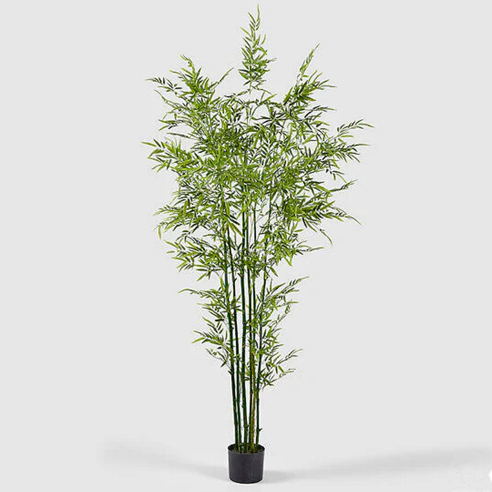 BAMBOO ARTIFICIALE CON VASO H210CM VERDE