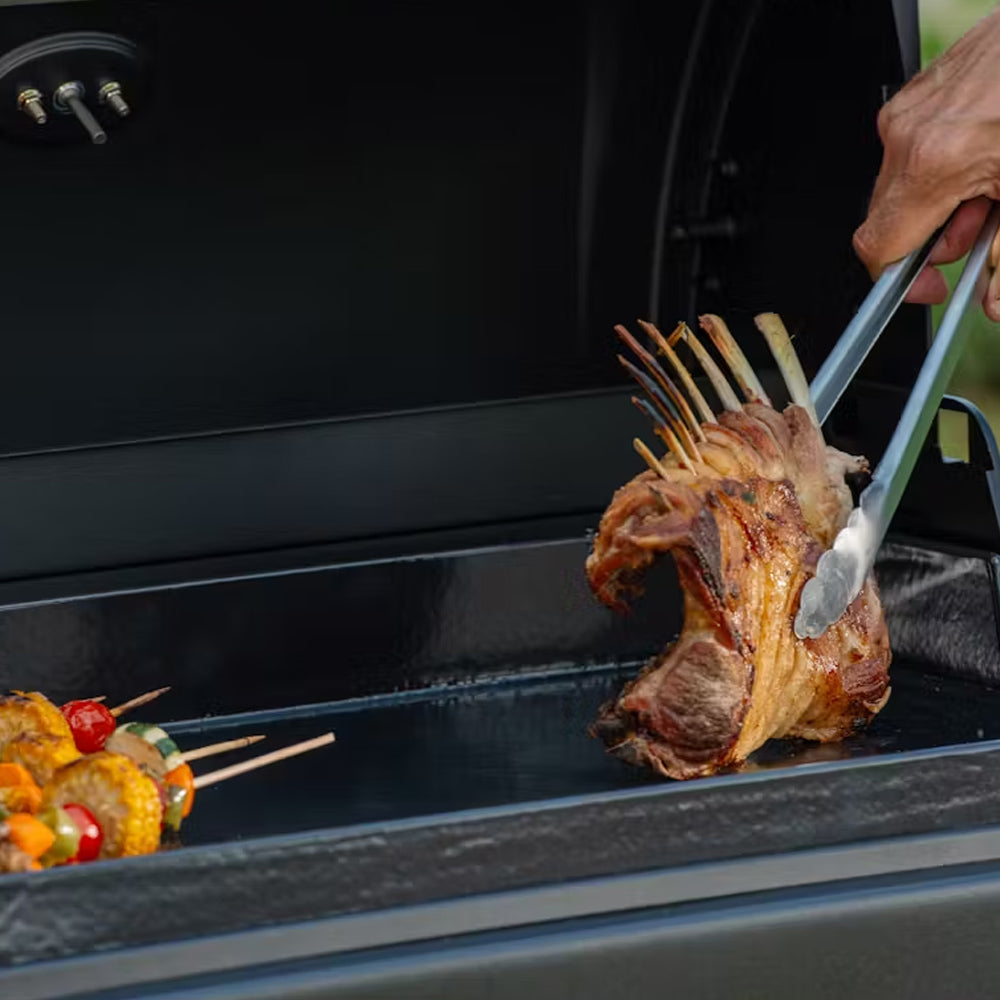 BARBECUE PLANCHA EX3