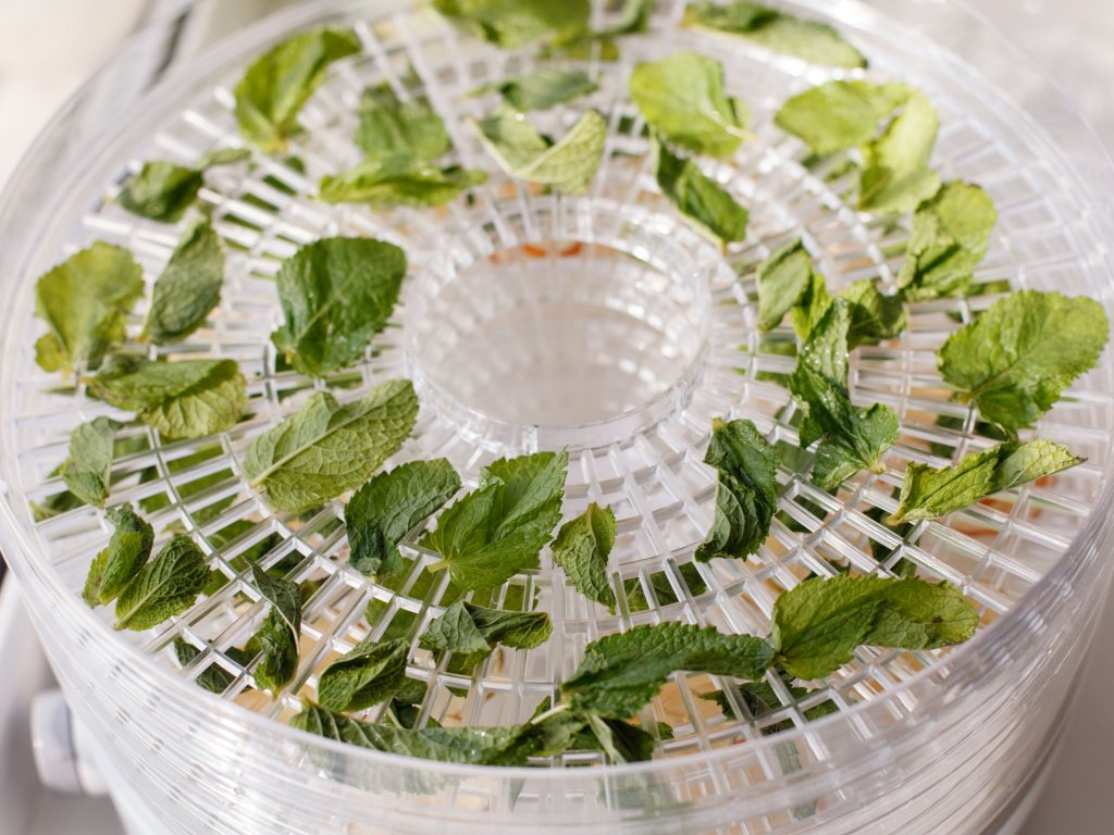 ESSICCATORE PER ALIMENTI CAPACITA' 1KG
