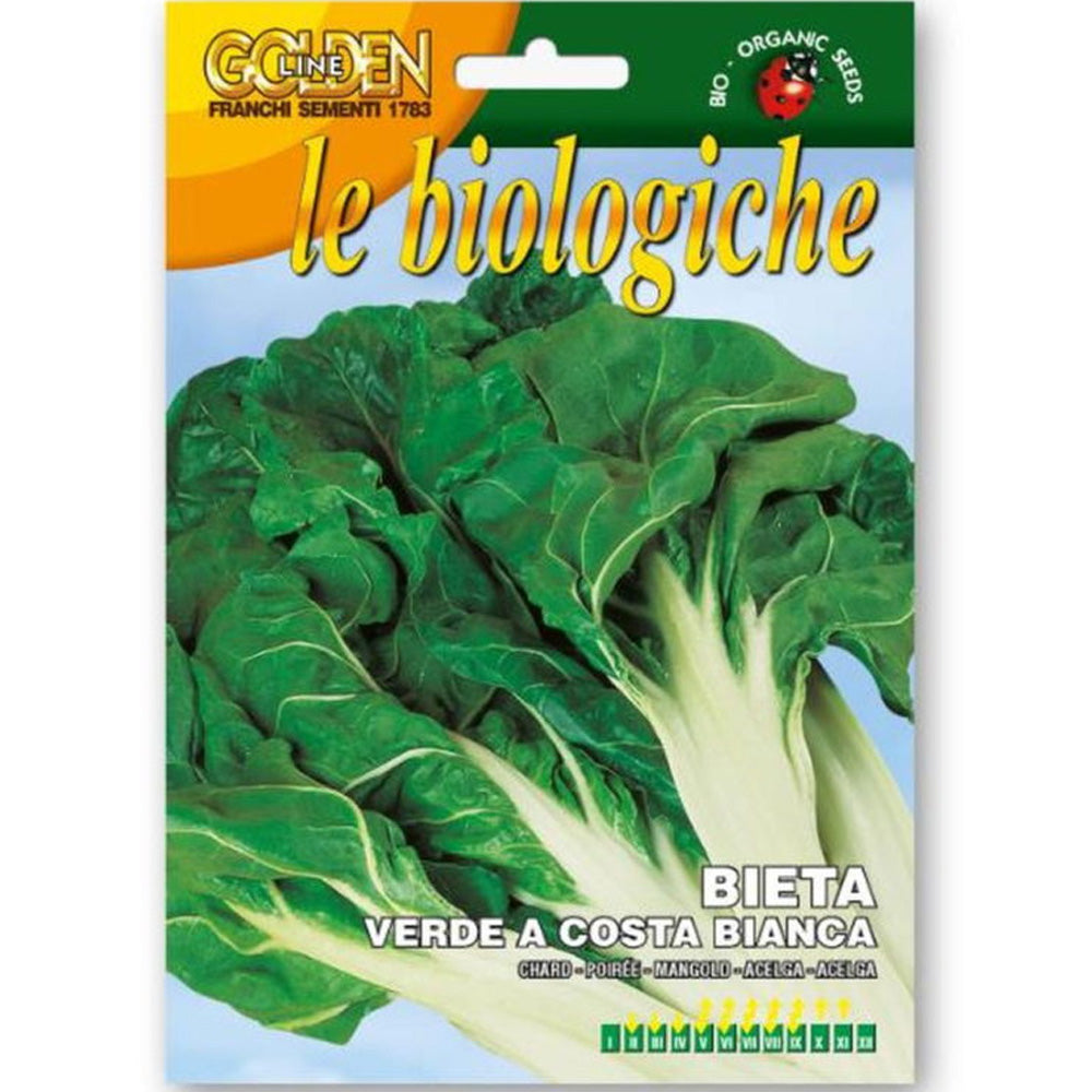 SEMI DI BIETA VERDE A COSTA BIANCA BIO