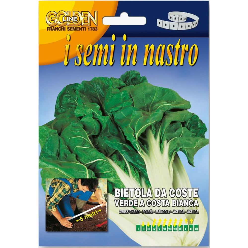 SEMI DI BIETA DA TAGLIO IN NASTRO FRANCHI SEMENTI