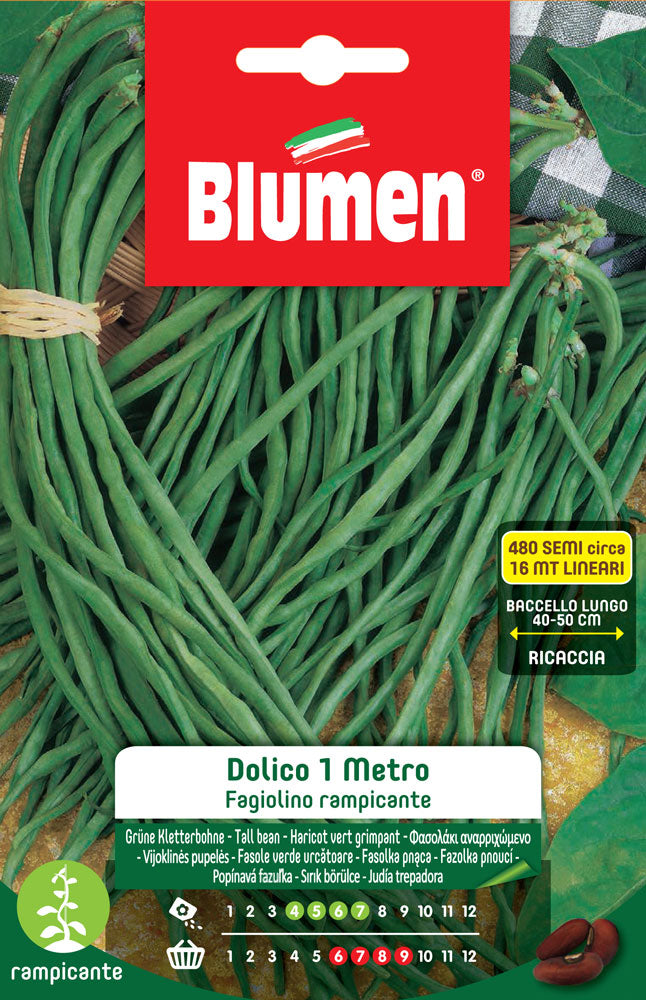 SEMI DI FAGIOLINI NANI RAMPICANTI DOLICO 1MT
