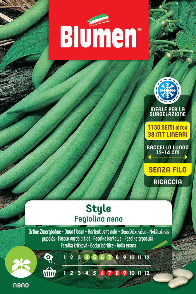 SEMI DI FAGIOLINI NANI STYLE
