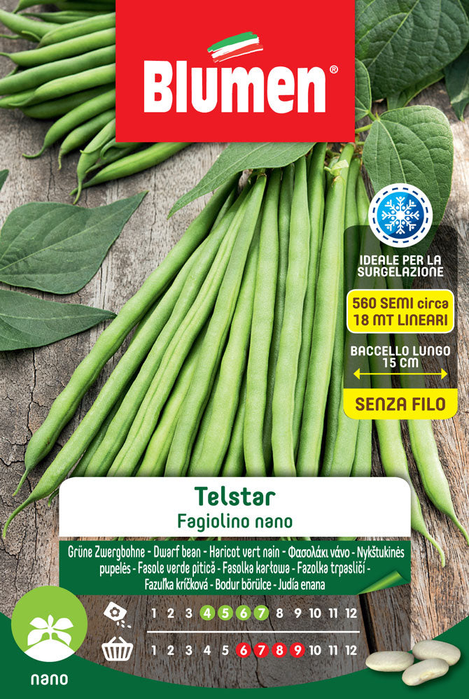 SEMI DI FAGIOLINI NANI TELSTAR