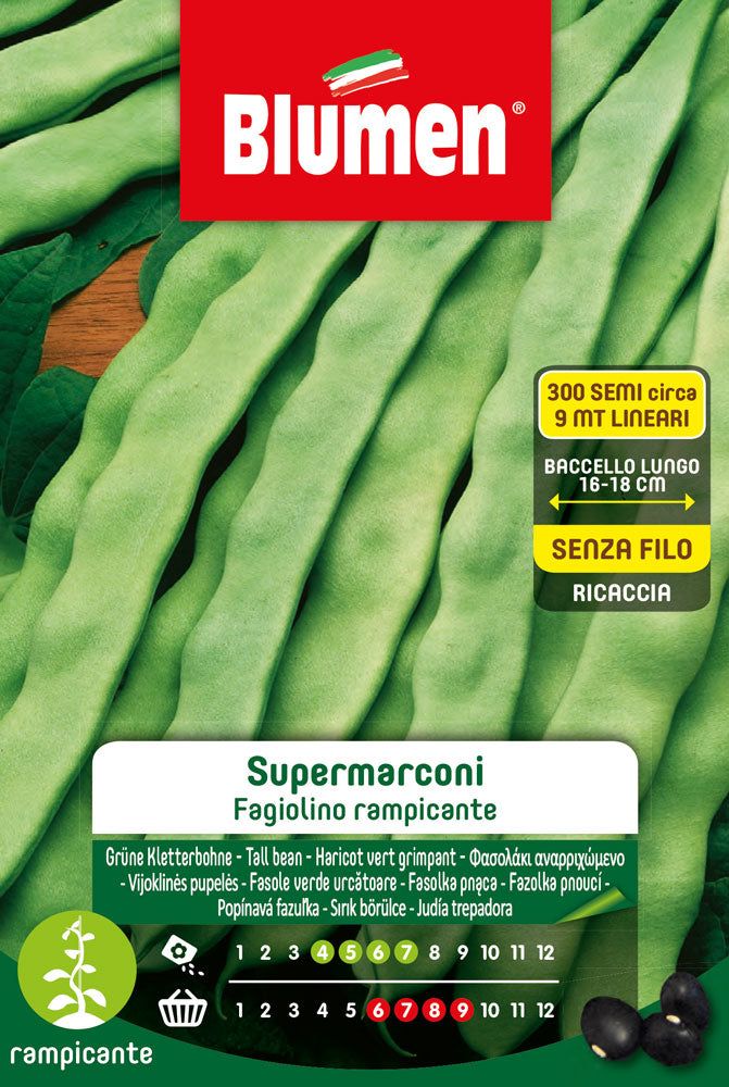 SEMI DI FAGIOLINI RAMPICANTI SUPERMARCONI