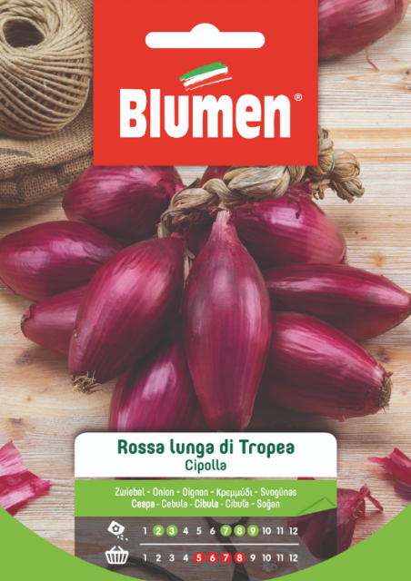 SEMI CIPOLLA ROSSA LUNGA DI TROPEA BLUMEN