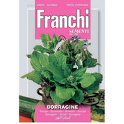 SEMI DI BORRAGINE
