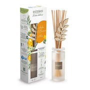 DIFFUSORE A BASTONCINO BOUQUET 100ML AMBRE ET BAUMES