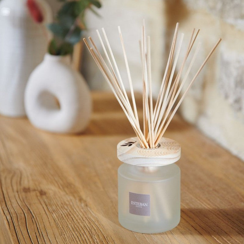 Diffusore di Profumo a Bastoncini Ellipse Arancia e Tè Verde 200 ml ESTEBAN-PARIS - immagine 2