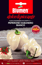SEMI PEPERONE HABANERO BIANCO