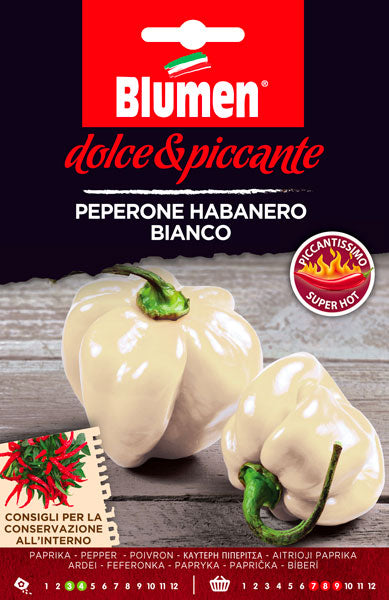 SEMI PEPERONE HABANERO BIANCO