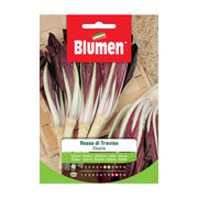 SEMI CICORIA ROSSA DI TREVISO BLUMEN