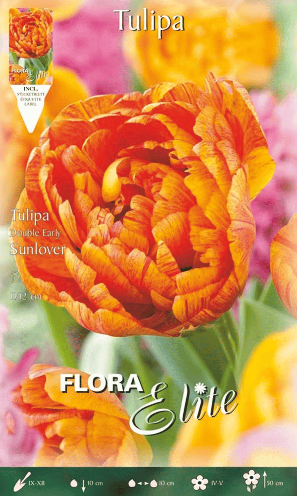 TULIPANO DOUBLE EARLY SUNLOVER (CONFEZIONE DA 7 BULBI)