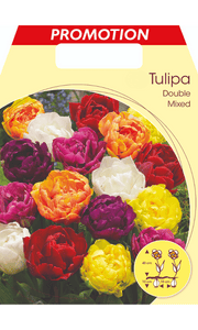 TULIPANO DOUBLE MIX DI COLORI (CONFEZIONE DA 20 BULBI)