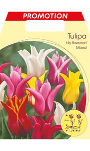 TULIPANO LILY-FLOWERED MIX (CONFEZIONE DA 20 BULBI)