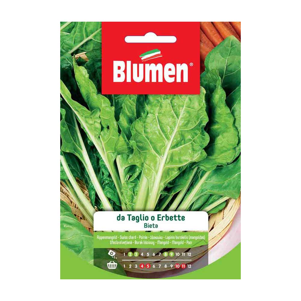 SEMI BIETA TAGLIO O ERBETTE BLUMEN