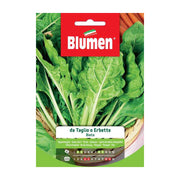 SEMI BIETA TAGLIO O ERBETTE BLUMEN