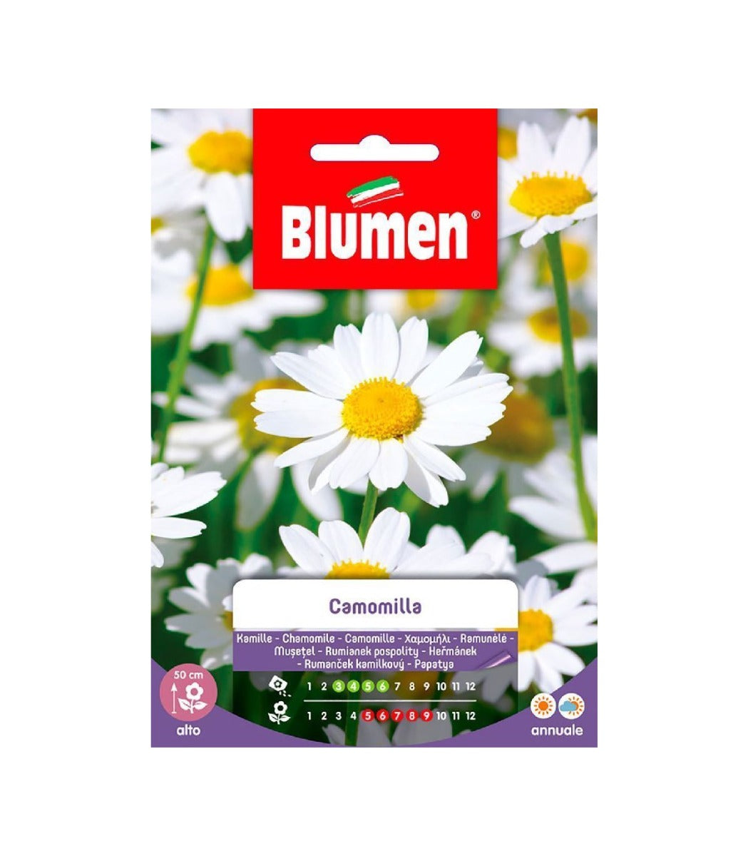 BUSTINA CON SEMI DI CAMOMILLA MATRICHARIA