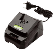 CARICA BATTERIA RAPIDO