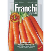 SEMI DI CAROTA TELLUS IBRIDO F.1