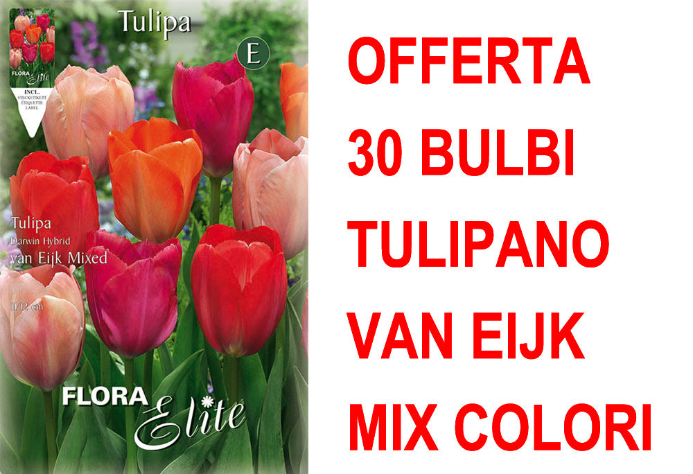 OFFERTA 30 BULBI TULIPANO DARWIN VAN EIJK MIXED