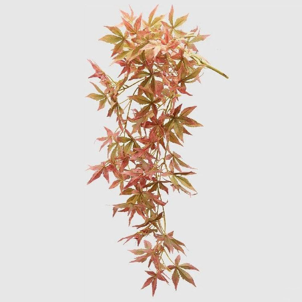 CESPUGLIO ACERO GIAPPONESE OLIS H95CM