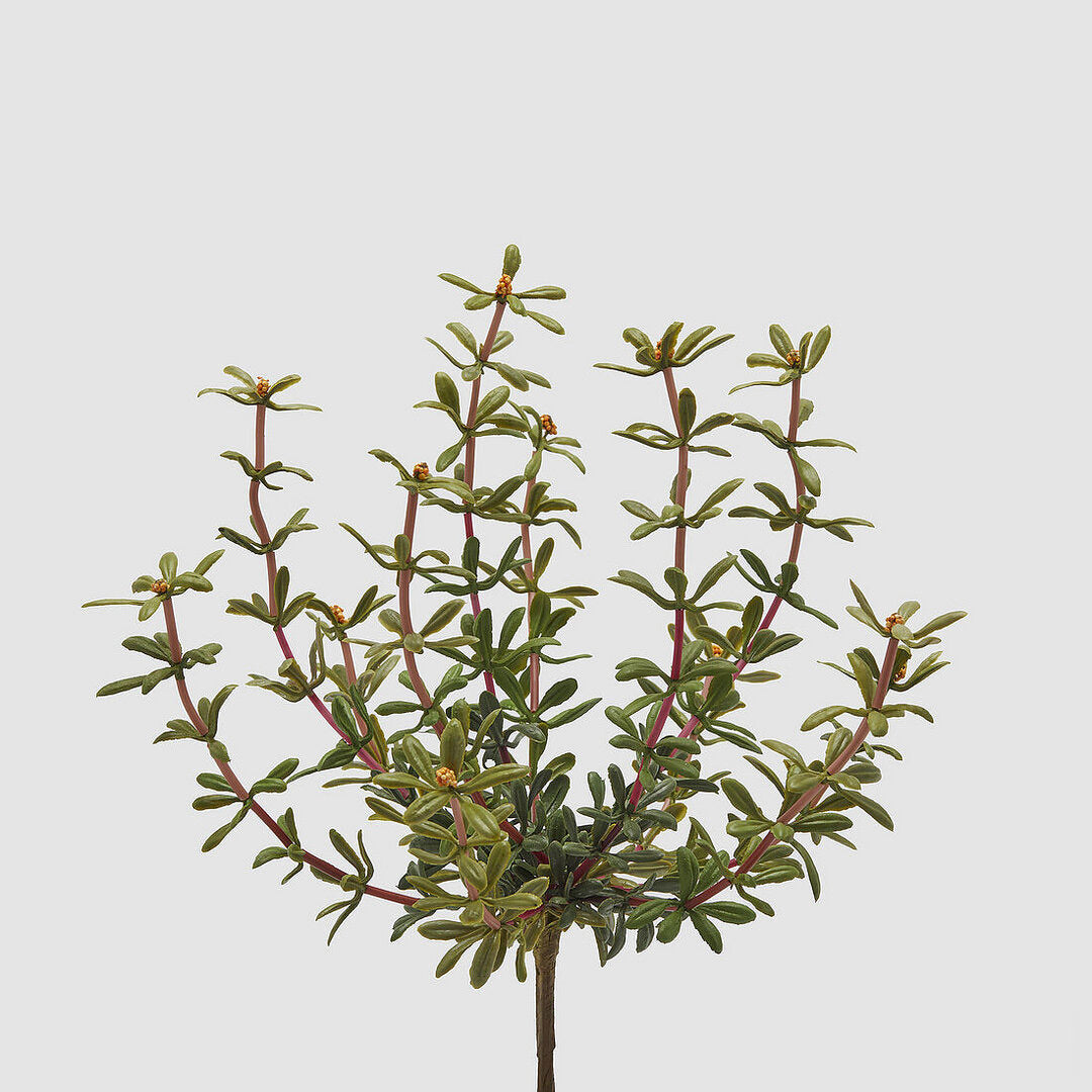 CESPUGLIO ARTIFICIALE DI PORTULACCA H27CM CON BACCHE ARANCIONI