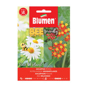 SEMI ASCLEPIAS ROSSA BLUMEN