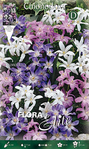 CHIONODOXA MIX DI COLORI (CONFEZIONE DA 25 BULBI)