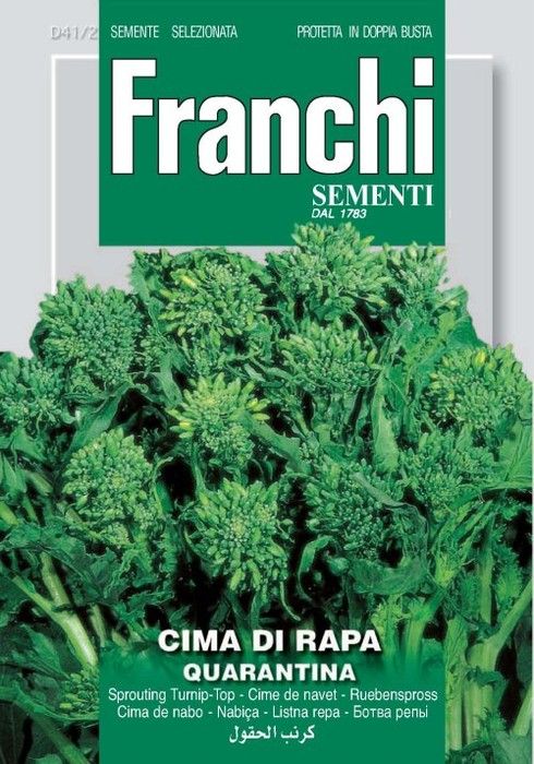 SEMI CIMA DI RAPA QUARANTINA