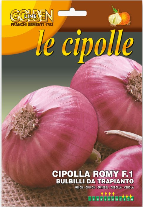 BULBILLI DI CIPOLLA ROMY F.1 500GR DA INTERRARE