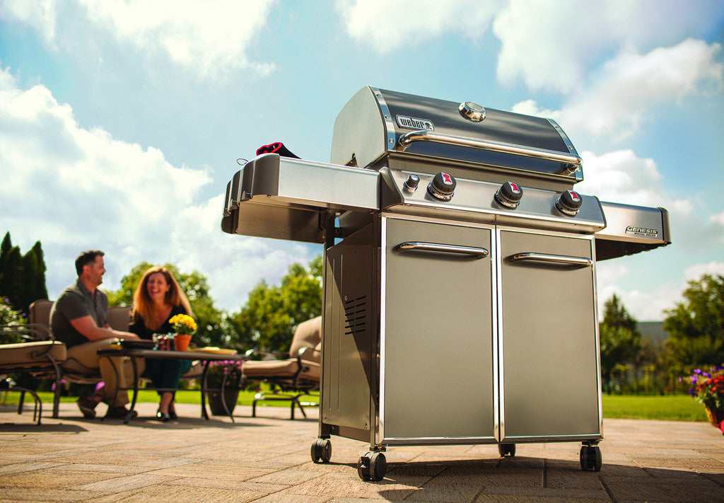 GENESIS E-310 SMOKE GREY
