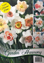 COLLEZIONE 12 BULBI DI NARCISO DAFFODILS ROSA